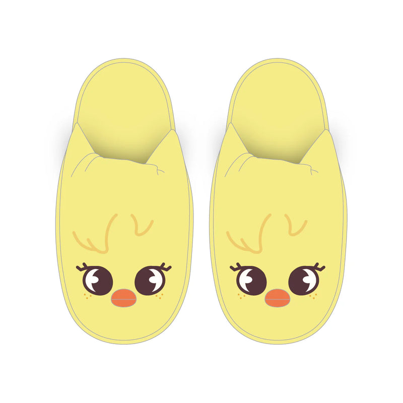 STRAY KIDS 6TH OFFICIAL FANCLUB STAY JAPAN - SLIPPERS