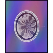 XG - 1ST MINI ALBUM - NEW DNA - Oh Seoul Happy X VER. Albums