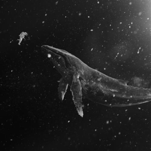 EXO - WINTER SPECIAL ALBUM - SING FOR YOU (CHINESE/KOREAN VER.) (RANDOM)